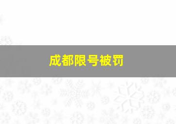 成都限号被罚