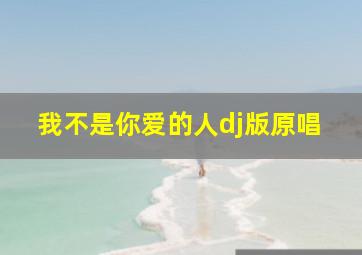 我不是你爱的人dj版原唱