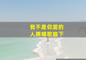 我不是你爱的人原唱歌曲下