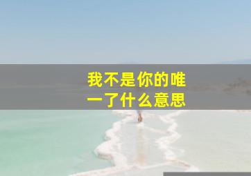 我不是你的唯一了什么意思