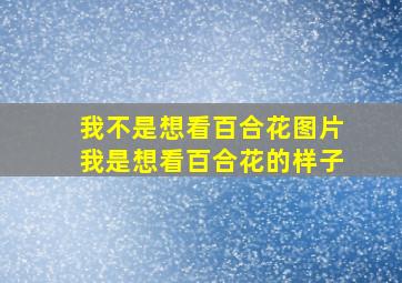 我不是想看百合花图片我是想看百合花的样子