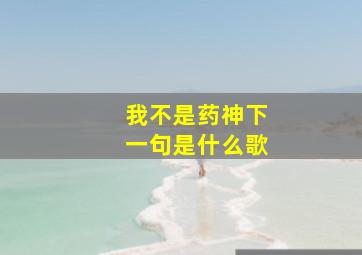 我不是药神下一句是什么歌