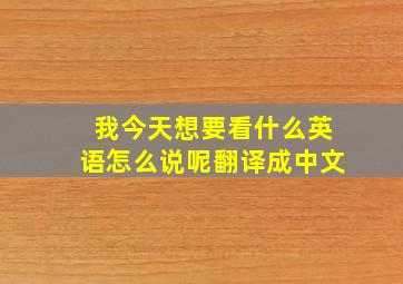 我今天想要看什么英语怎么说呢翻译成中文