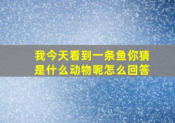 我今天看到一条鱼你猜是什么动物呢怎么回答