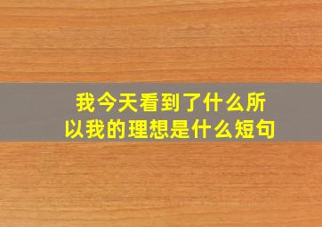 我今天看到了什么所以我的理想是什么短句