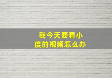 我今天要看小度的视频怎么办