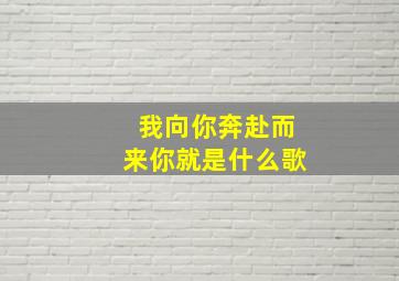 我向你奔赴而来你就是什么歌