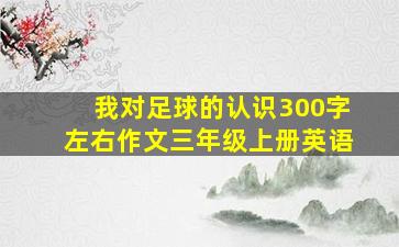 我对足球的认识300字左右作文三年级上册英语