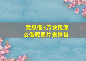 我想借3万块钱怎么借呢图片表情包