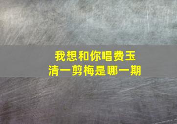 我想和你唱费玉清一剪梅是哪一期