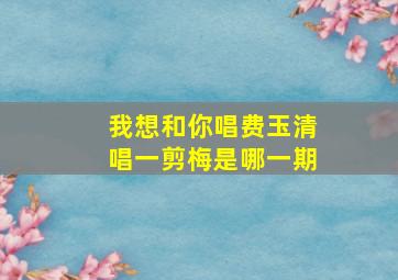 我想和你唱费玉清唱一剪梅是哪一期