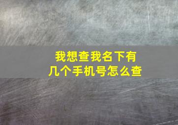 我想查我名下有几个手机号怎么查