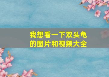 我想看一下双头龟的图片和视频大全