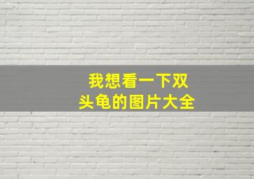 我想看一下双头龟的图片大全