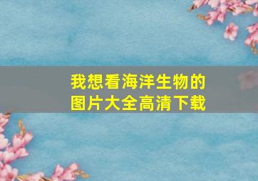 我想看海洋生物的图片大全高清下载