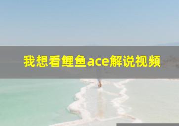 我想看鲤鱼ace解说视频