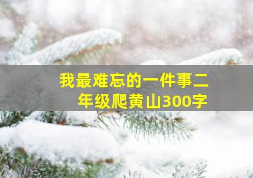 我最难忘的一件事二年级爬黄山300字