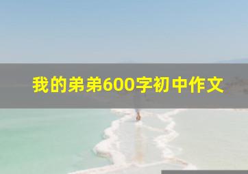 我的弟弟600字初中作文