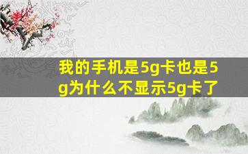 我的手机是5g卡也是5g为什么不显示5g卡了