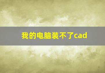 我的电脑装不了cad