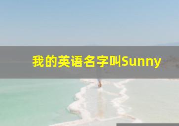 我的英语名字叫Sunny