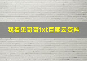 我看见哥哥txt百度云资料