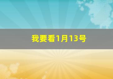 我要看1月13号