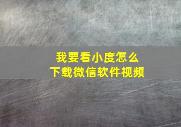 我要看小度怎么下载微信软件视频