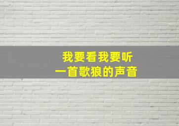 我要看我要听一首歌狼的声音