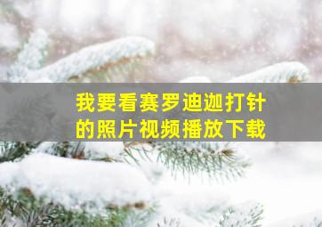 我要看赛罗迪迦打针的照片视频播放下载