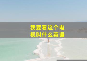 我要看这个电视叫什么英语