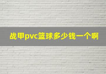 战甲pvc篮球多少钱一个啊