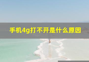 手机4g打不开是什么原因