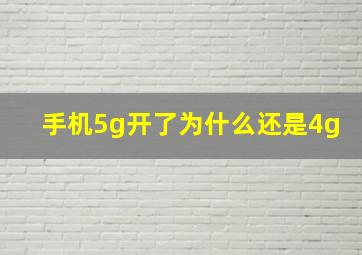 手机5g开了为什么还是4g