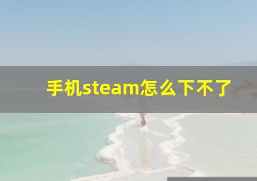 手机steam怎么下不了