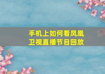 手机上如何看凤凰卫视直播节目回放