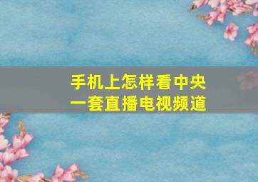 手机上怎样看中央一套直播电视频道