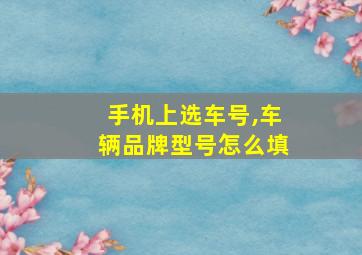 手机上选车号,车辆品牌型号怎么填