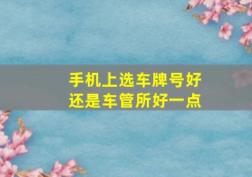 手机上选车牌号好还是车管所好一点