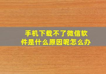 手机下载不了微信软件是什么原因呢怎么办