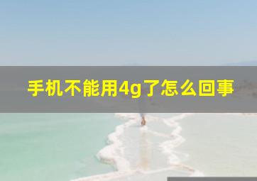 手机不能用4g了怎么回事