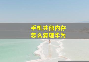 手机其他内存怎么清理华为