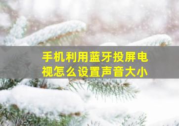 手机利用蓝牙投屏电视怎么设置声音大小