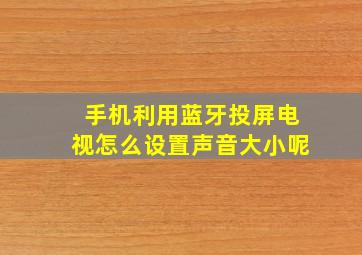 手机利用蓝牙投屏电视怎么设置声音大小呢