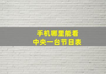 手机哪里能看中央一台节目表