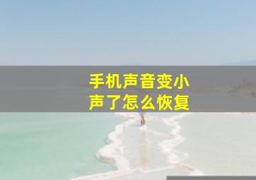 手机声音变小声了怎么恢复