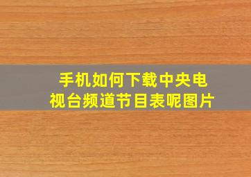 手机如何下载中央电视台频道节目表呢图片