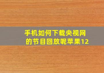 手机如何下载央视网的节目回放呢苹果12