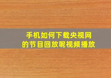 手机如何下载央视网的节目回放呢视频播放