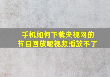 手机如何下载央视网的节目回放呢视频播放不了